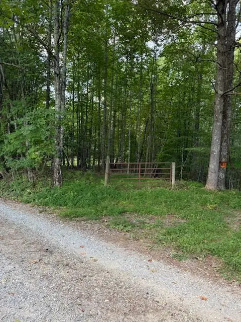 TBD Sumner, Floyd, VA 24091 - #1