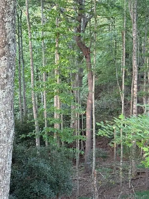 TBD Sumner, Floyd, VA 24091 - #3