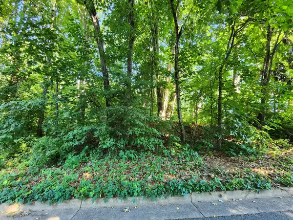 0 Laurel Ridge, Roanoke, VA 24017