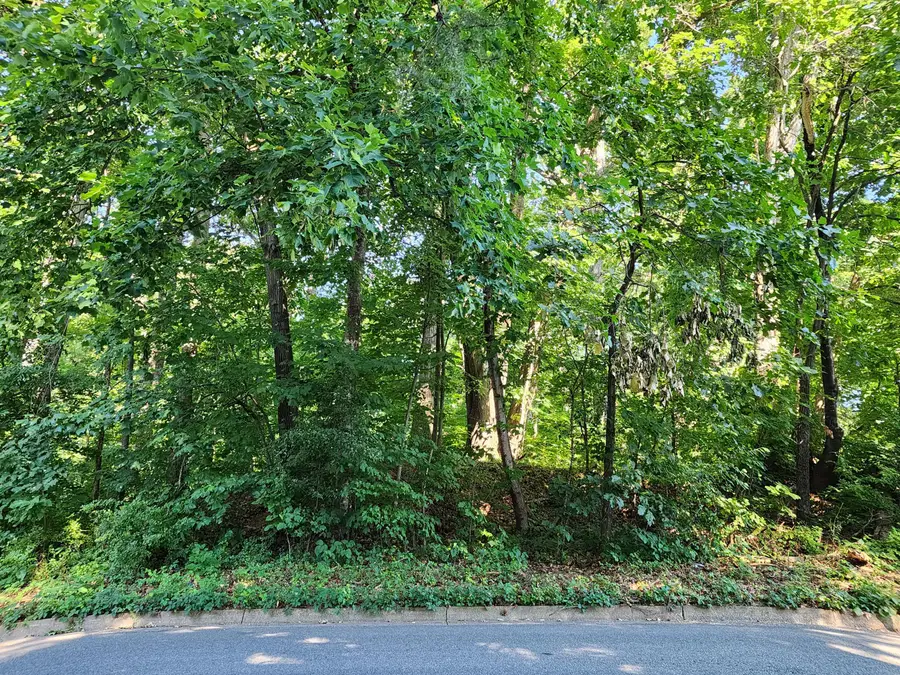 0 Laurel Ridge, Roanoke, VA 24017 - #3