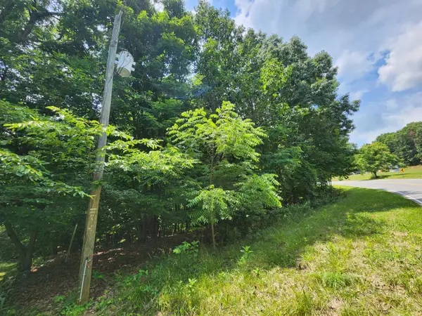 0 Diamond Hill, Moneta, VA 24121