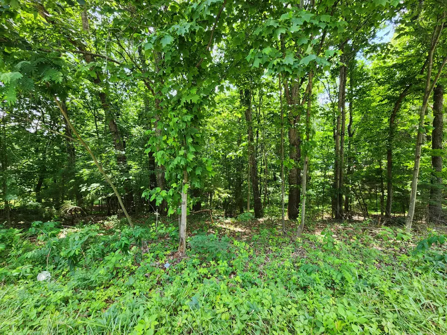 0 Diamond Hill, Moneta, VA 24121 - #2