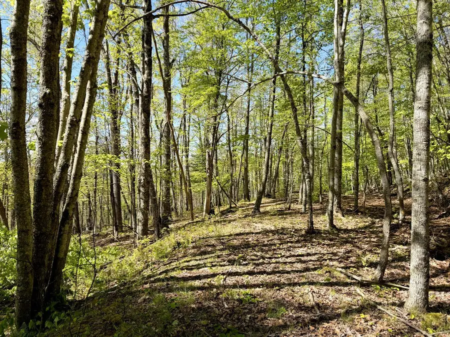 0 Iona, White Oak, WV 25989 - #2