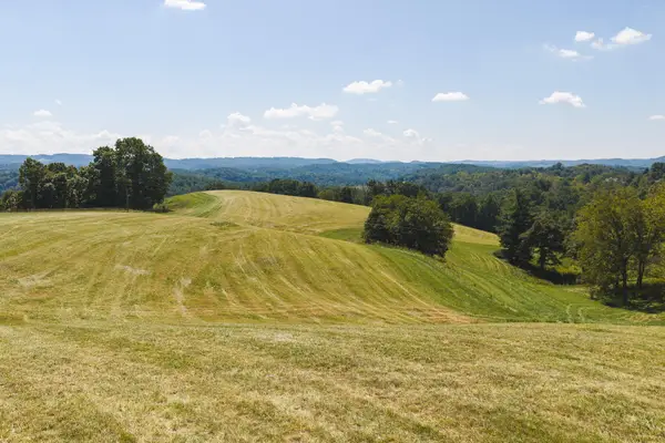 5902 Chestnut Ridge, Riner, VA 24149