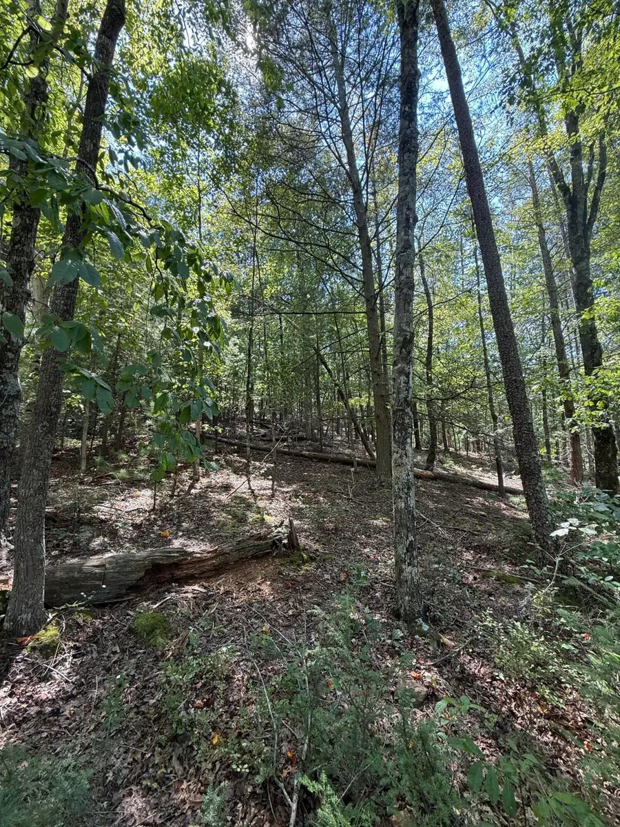 Address Withheld By Seller, Roanoke, VA 24019 - #3