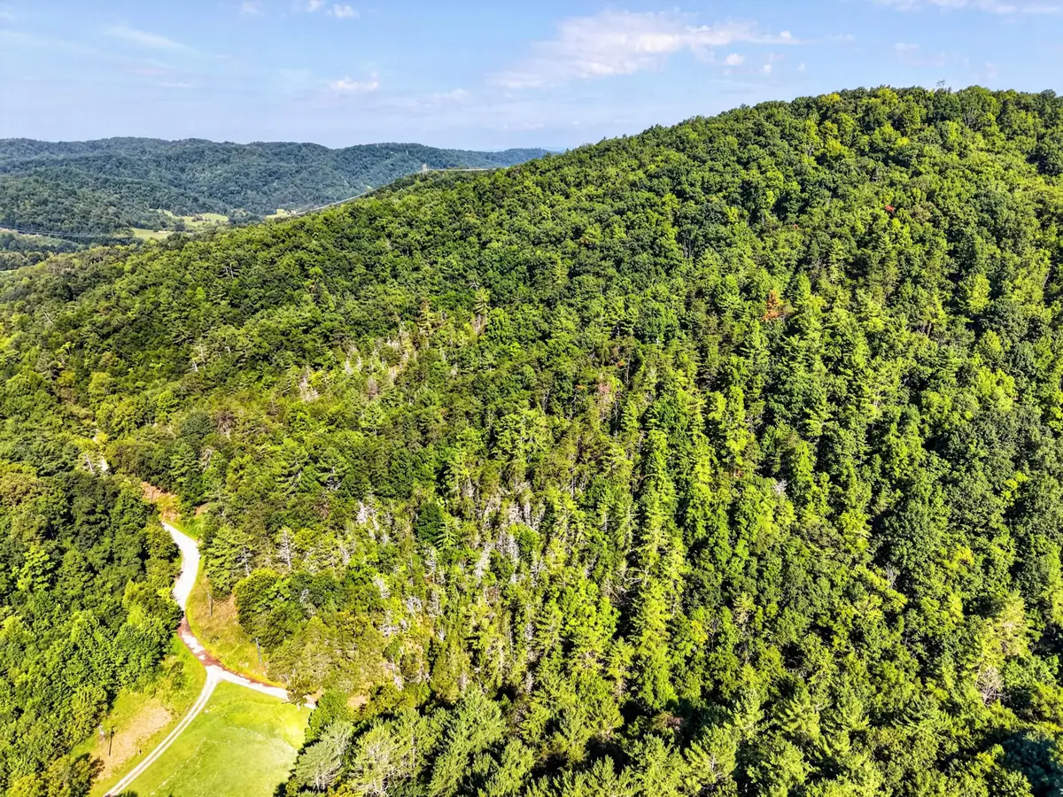 Address Withheld By Seller, Shawsville, VA 24162 - #1