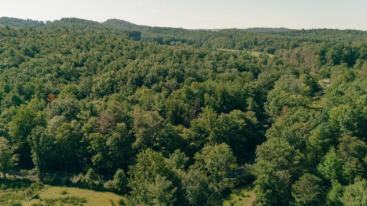 0 Alum Ridge, Riner, VA 24149 - #1
