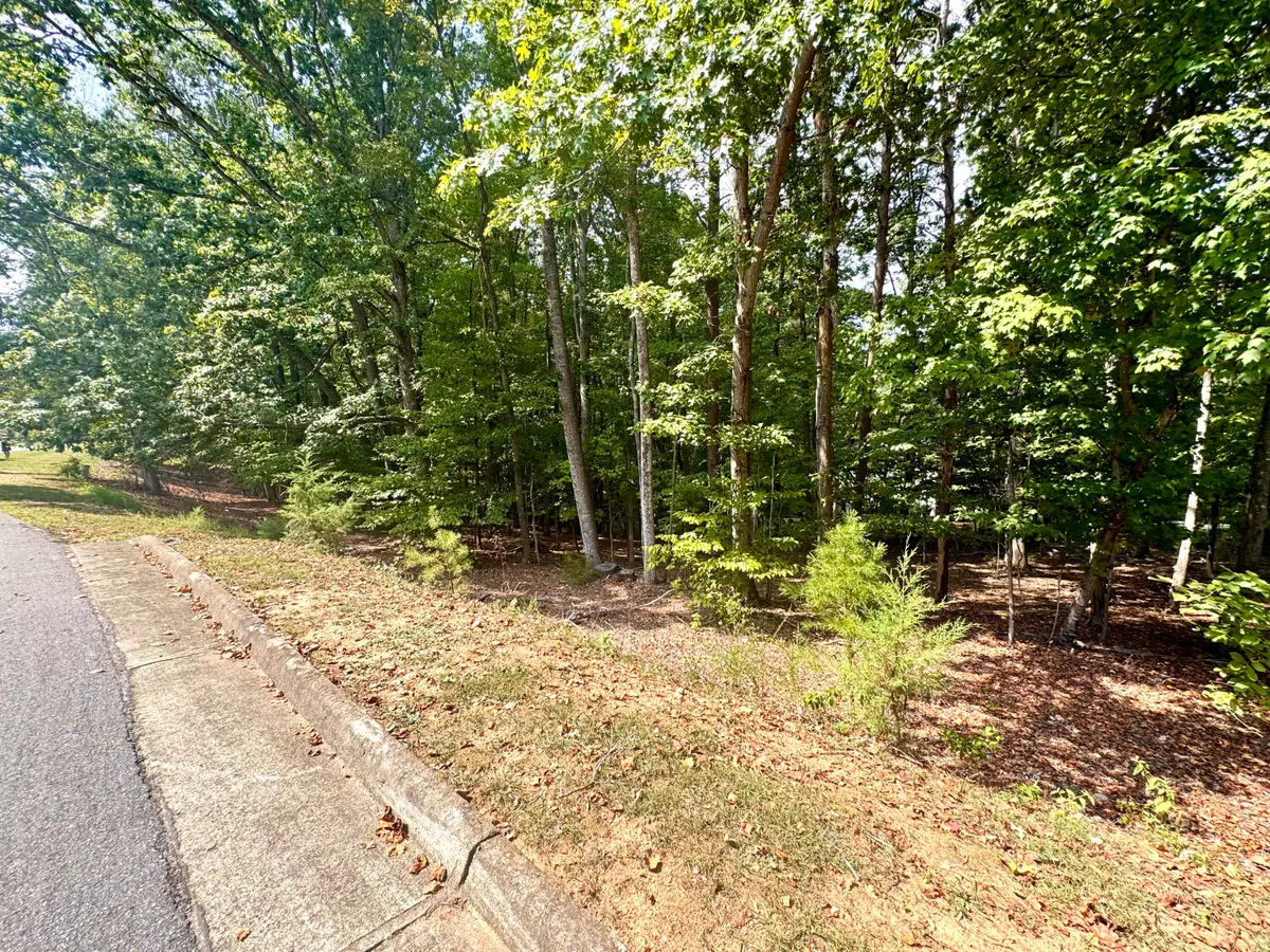 Lot 36 Island Pointe, Moneta, VA 24121 - #1