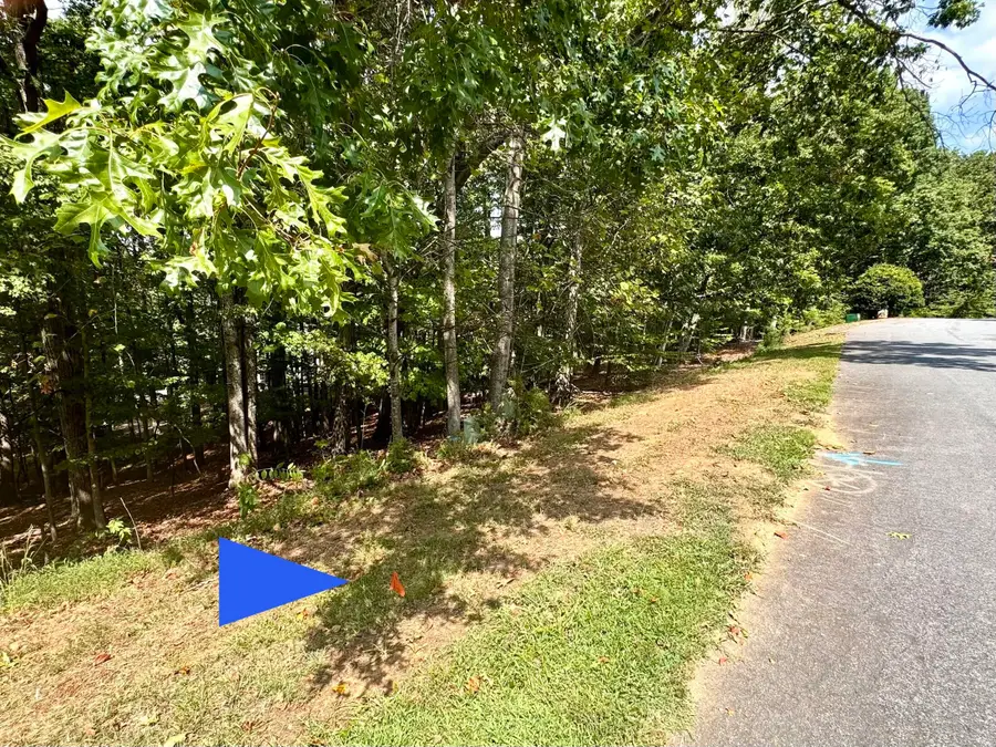 Lot 36 Island Pointe, Moneta, VA 24121 - #3