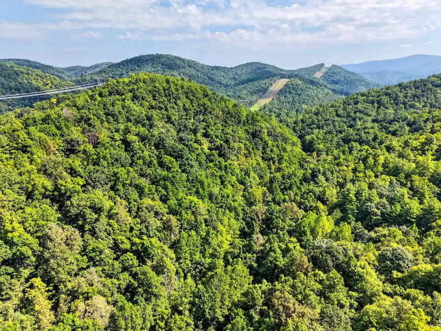 TBD Lavender, Shawsville, VA 24162 - #2