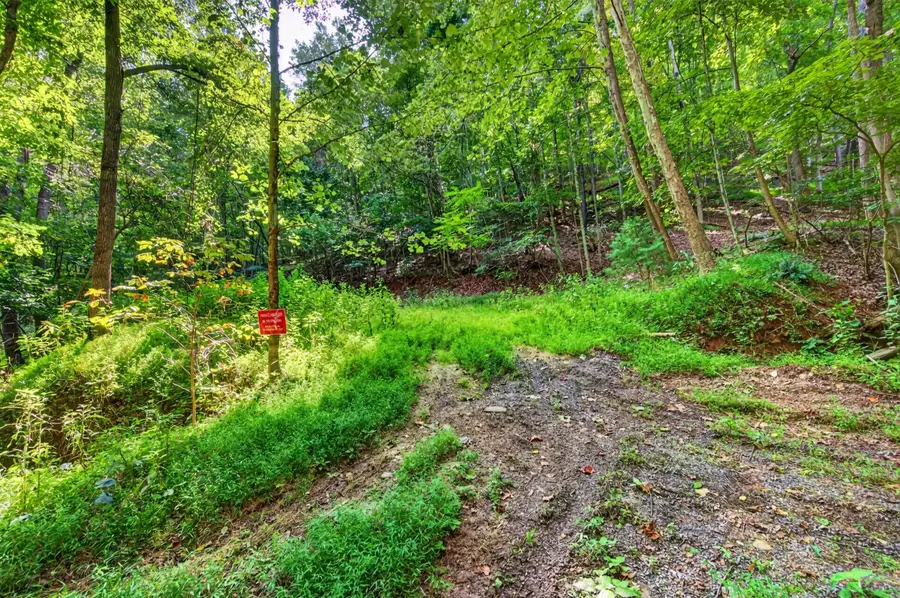 TBD Lavender, Shawsville, VA 24162 - #3