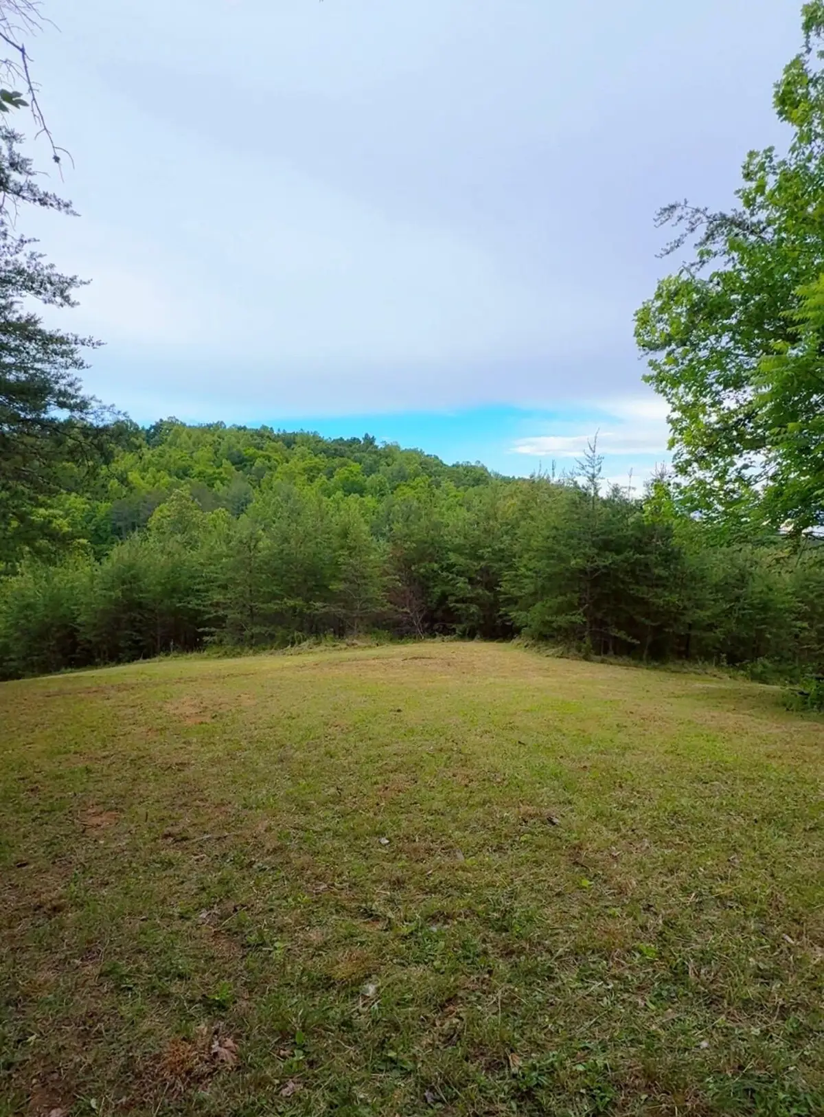0 Bear, Ferrum, VA 24088 - #1
