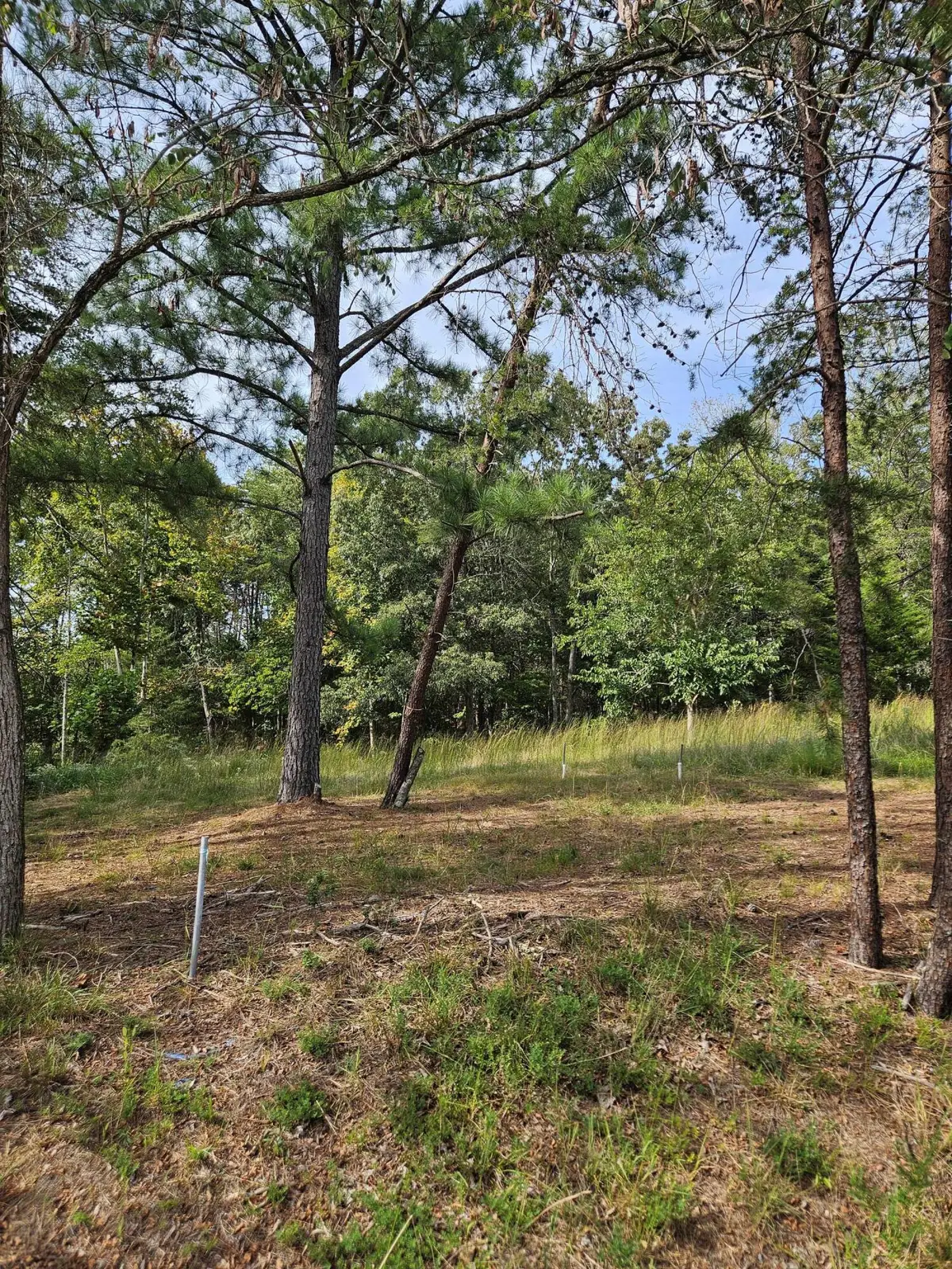 Lots 63&65 Meadow Point, Moneta, VA 24121 - #1