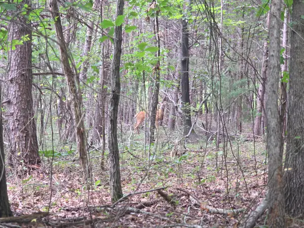0 Doe Run, Rocky Mount, VA 24151