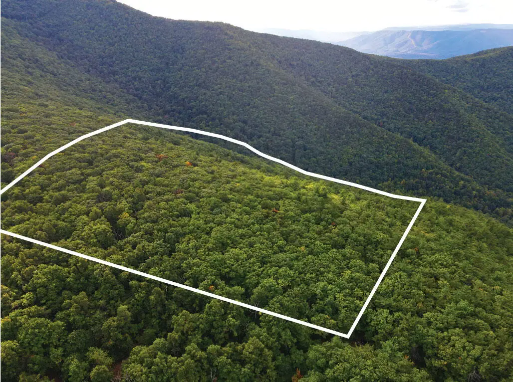 0 Poor Mountain, Bent Mountain, VA 24059 - #1