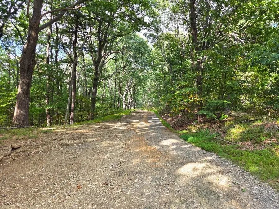 0 Poor Mountain, Bent Mountain, VA 24059 - #2