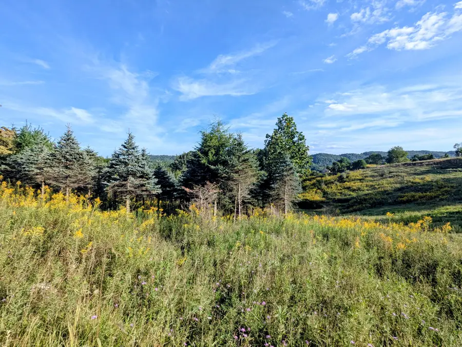 TBD High Rock Hill, Pilot, VA 24138 - #3