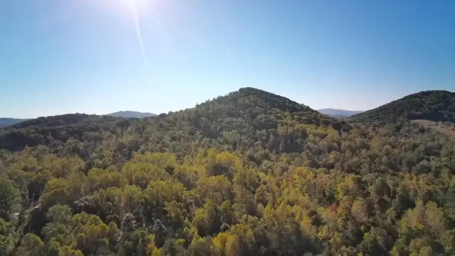 0 Pilot Mountain, Moneta, VA 24121 - #2