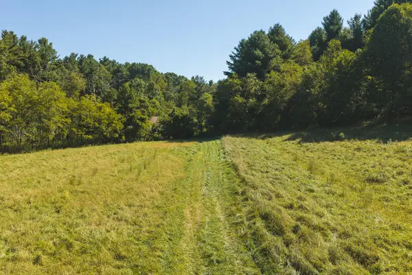 10568 Bottom Creek, Bent Mountain, VA 24059