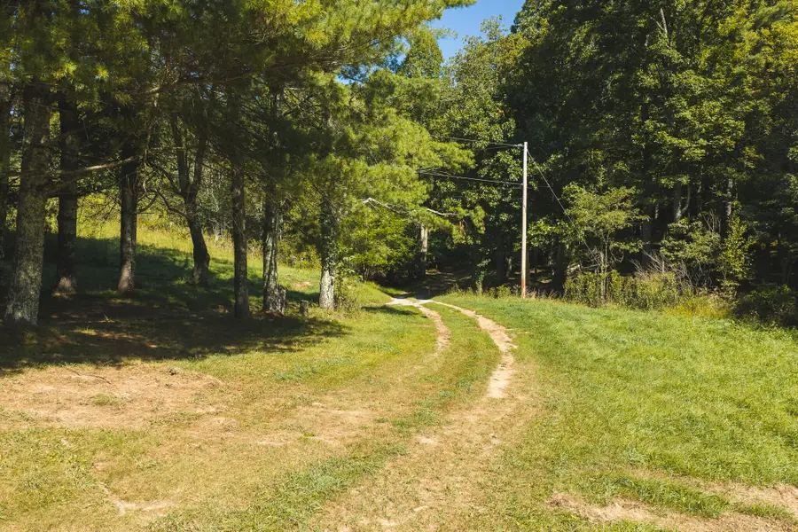 10568 Bottom Creek, Bent Mountain, VA 24059 - #2