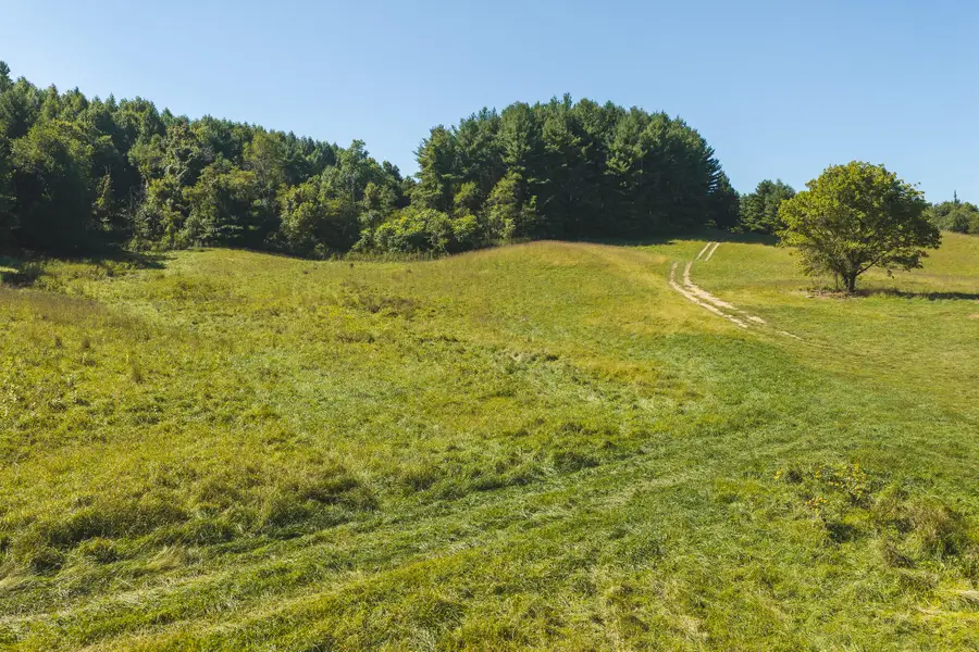 10568 Bottom Creek, Bent Mountain, VA 24059 - #3
