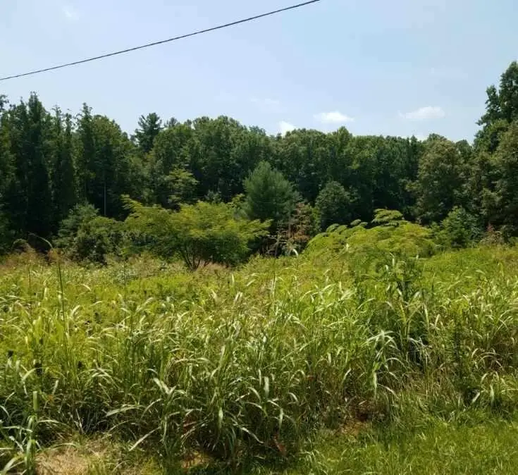 2374 Deyerle Knob, Rocky Mount, VA 24151 - #1