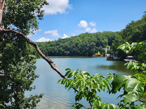 Lot 32 Lake View Point, Glade Hill, VA 24092