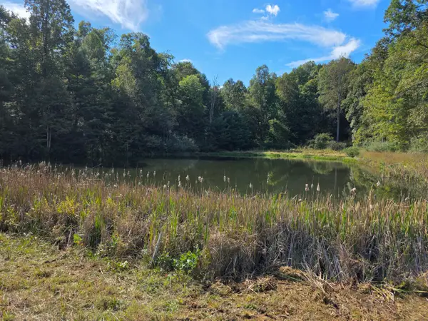 TBD Ferney Creek, Willis, VA 24380
