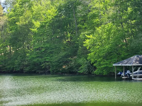 64 Lakewatch, Moneta, VA 24121