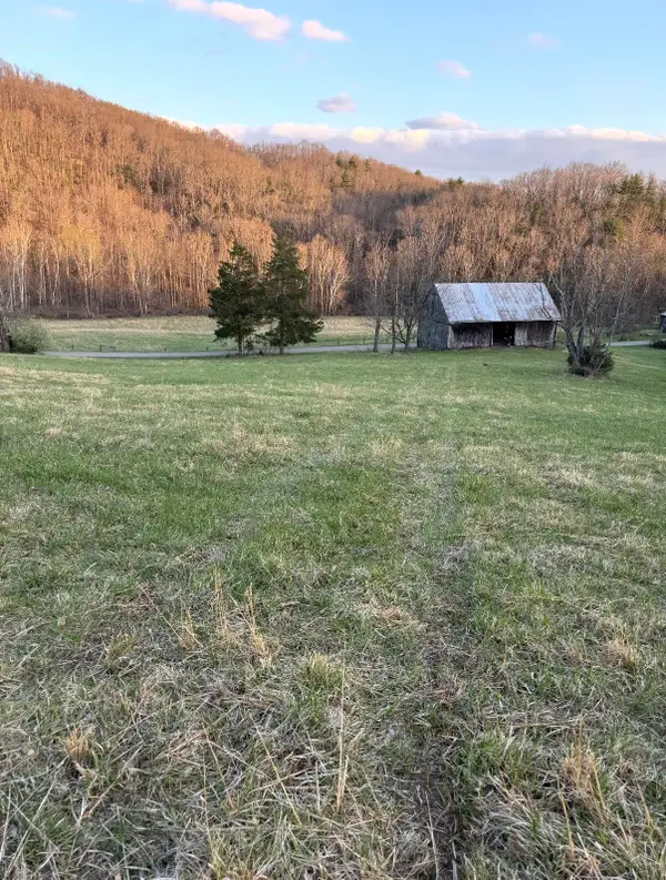 0 Tharp Creek, Ferrum, VA 24088