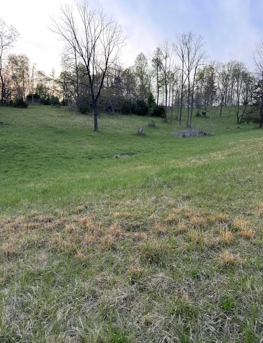0 Tharp Creek, Ferrum, VA 24088 - #2