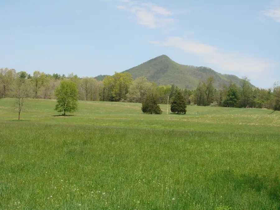 5005 Forty Two, Clifton Forge, VA 24422 - #3