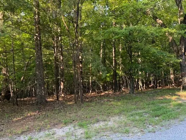 LOT 22 Woodshire, Blue Ridge, VA 24064 - #1