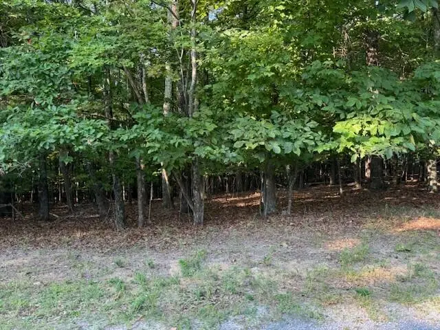 LOT 22 Woodshire, Blue Ridge, VA 24064 - #3