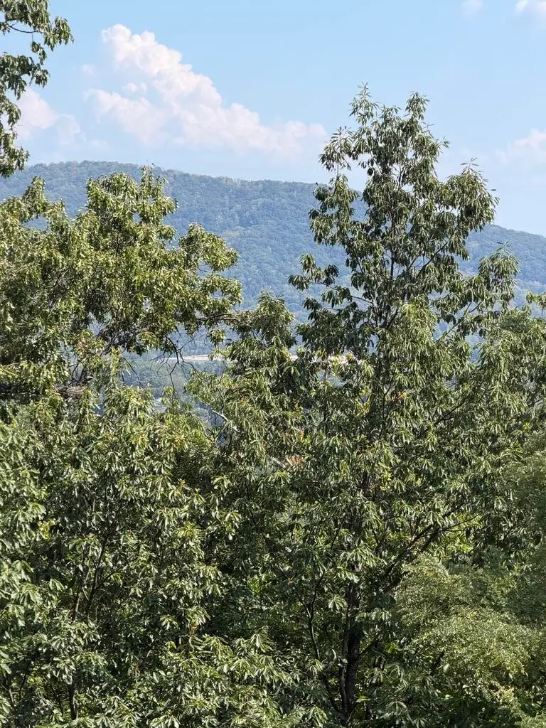 2428 Coachman, Roanoke, VA 24012 - #1
