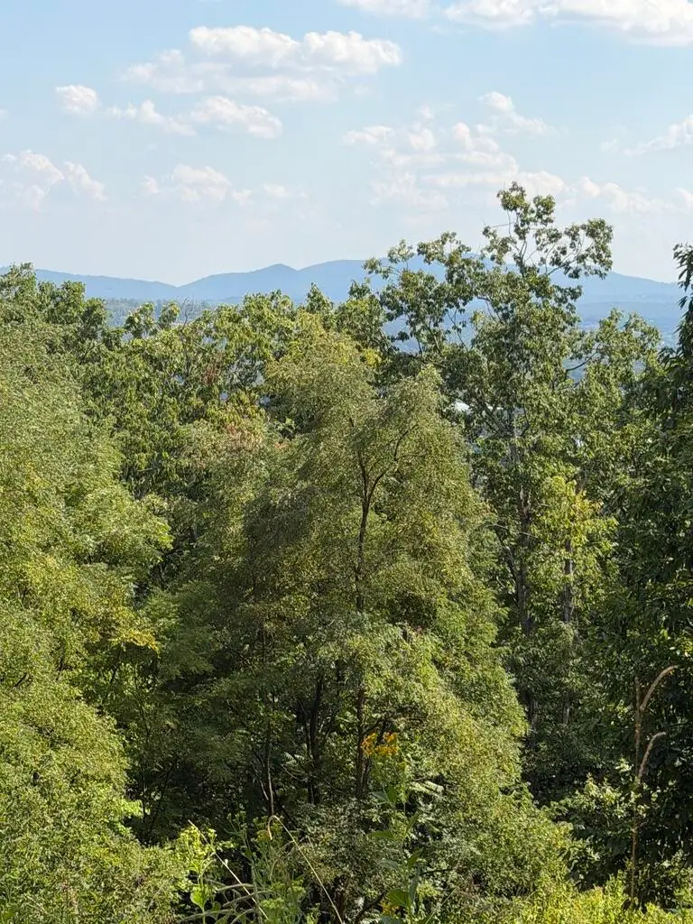 2428 Coachman, Roanoke, VA 24012 - #2