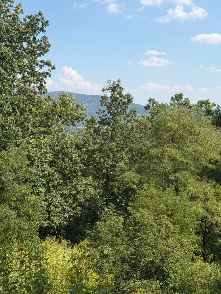 2428 Coachman, Roanoke, VA 24012 - #3