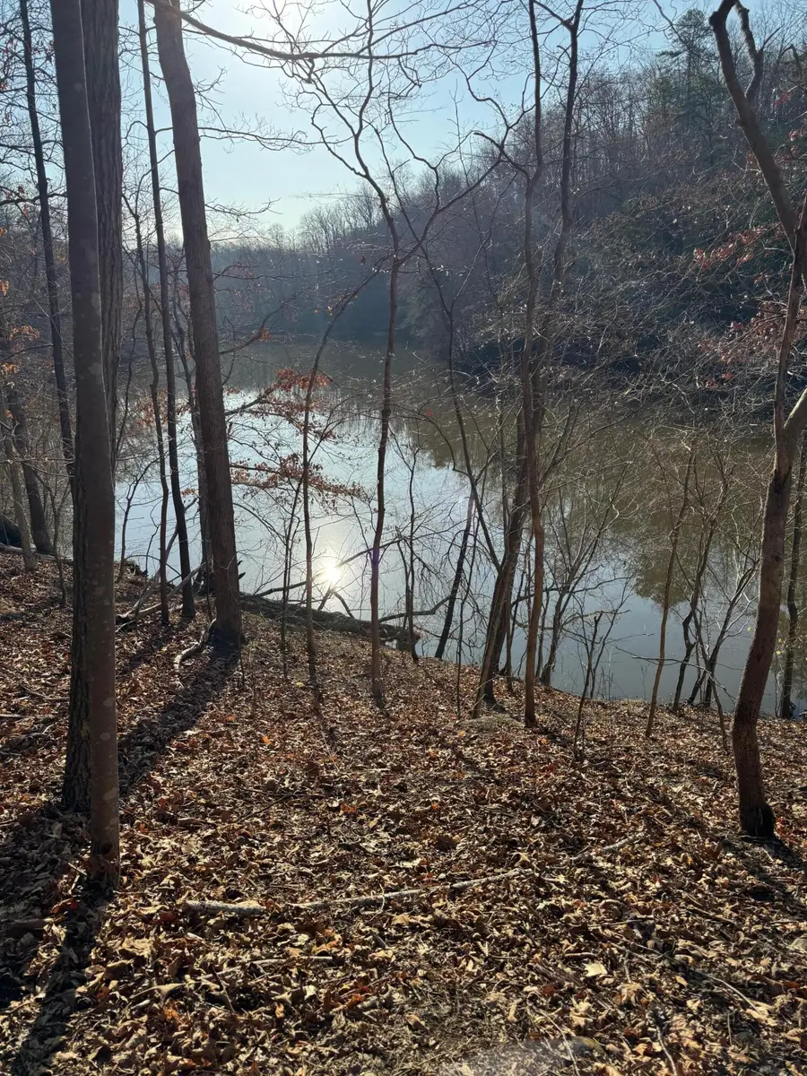 Lot 26 Poplar, Hardy, VA 24101 - #2