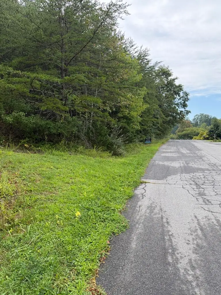 0 Teresa, Cloverdale, VA 24077 - #1