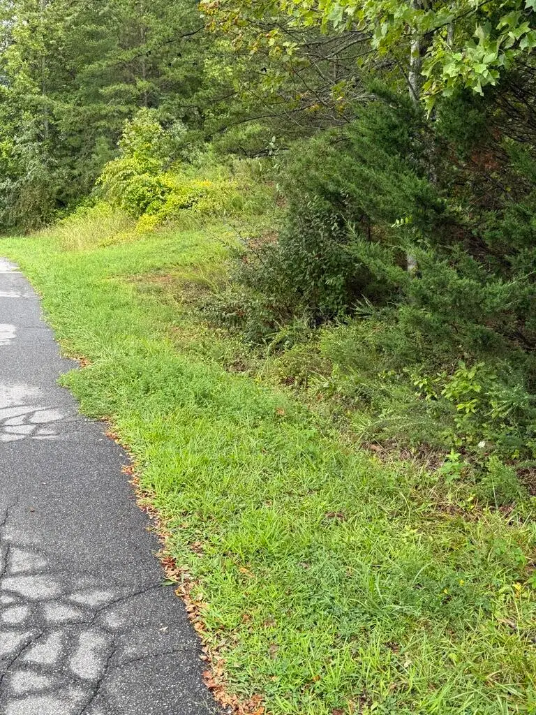 0 Teresa, Cloverdale, VA 24077 - #2
