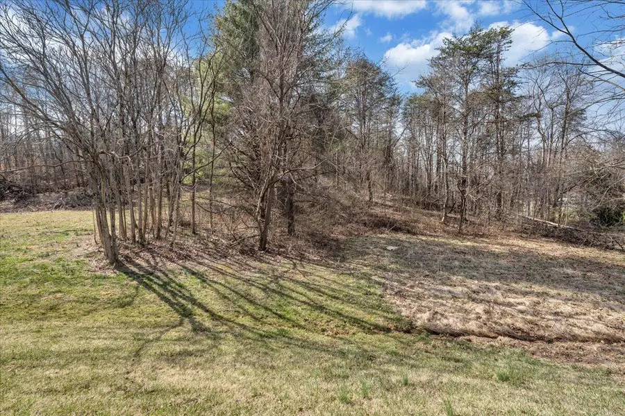 00 Woodridge, Troutville, VA 24175 - #3