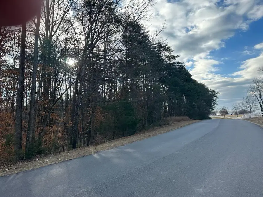 Lot 91 Boardwalk, Moneta, VA 24121 - #2