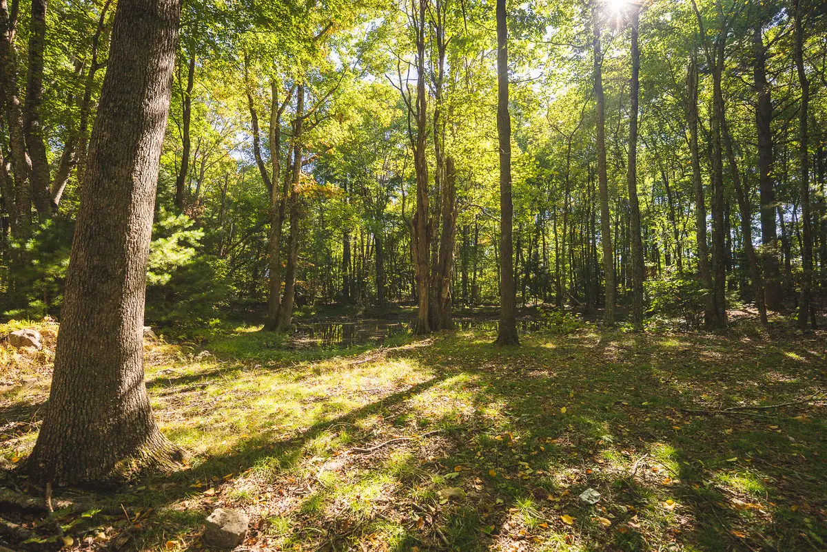 TBD Gator Mountain, Hiwassee, VA 24347 - #1