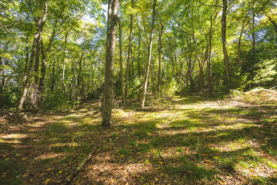 TBD Gator Mountain, Hiwassee, VA 24347 - #2