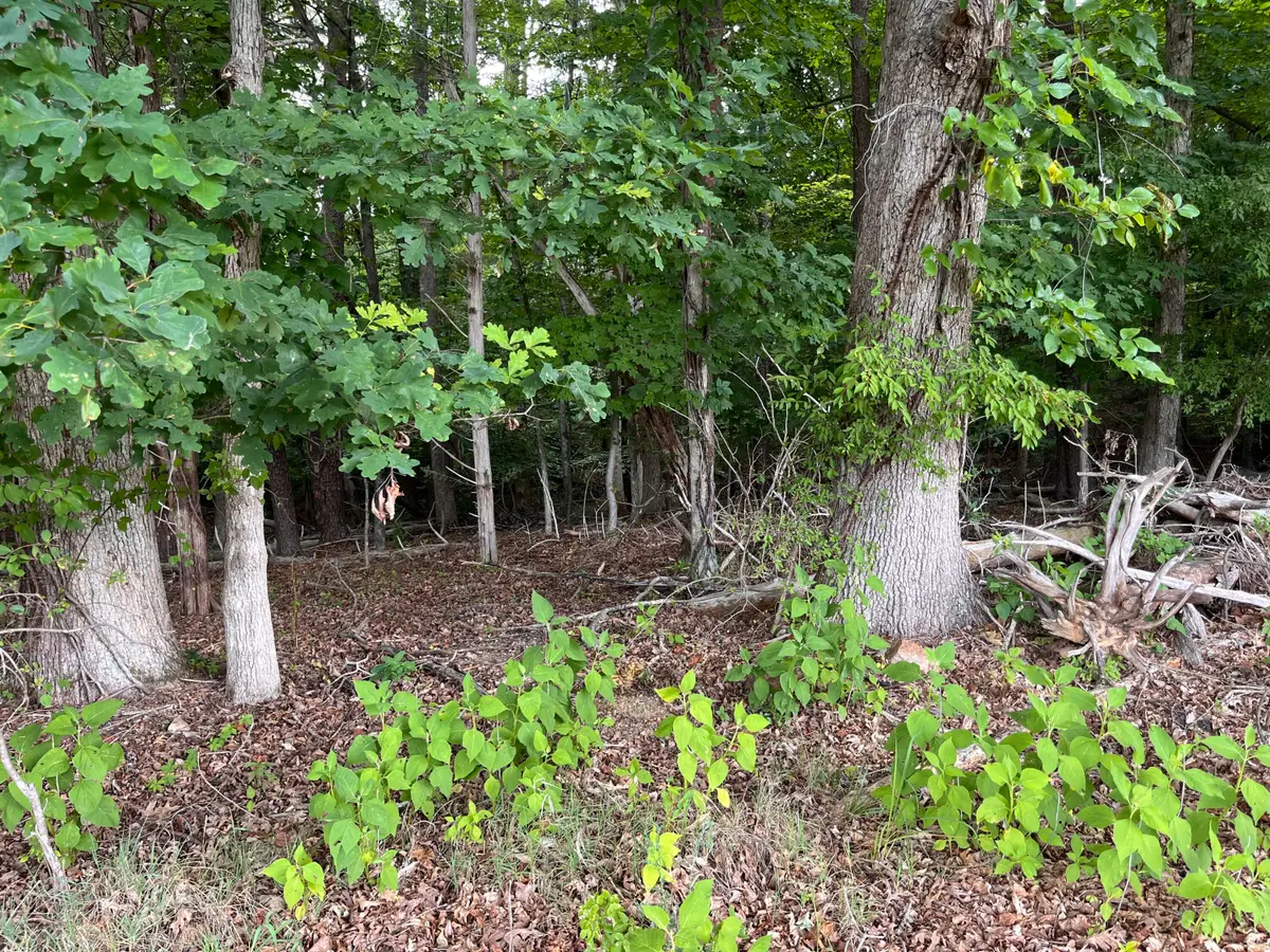 0 Parford, Moneta, VA 24121 - #1