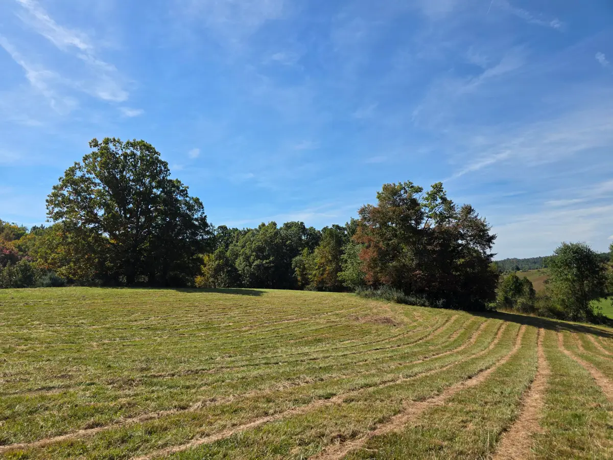 TBD Ridge, Check, VA 24072 - #1