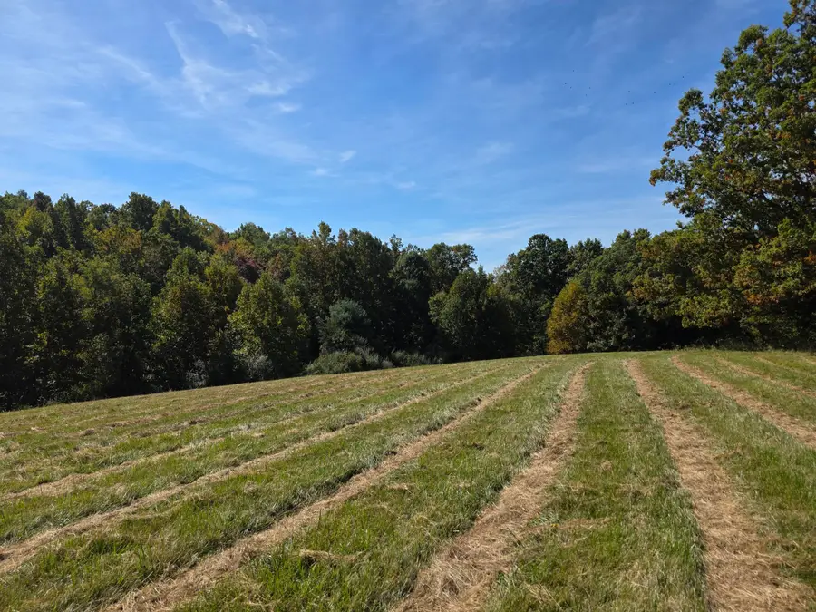 TBD Ridge, Check, VA 24072 - #2