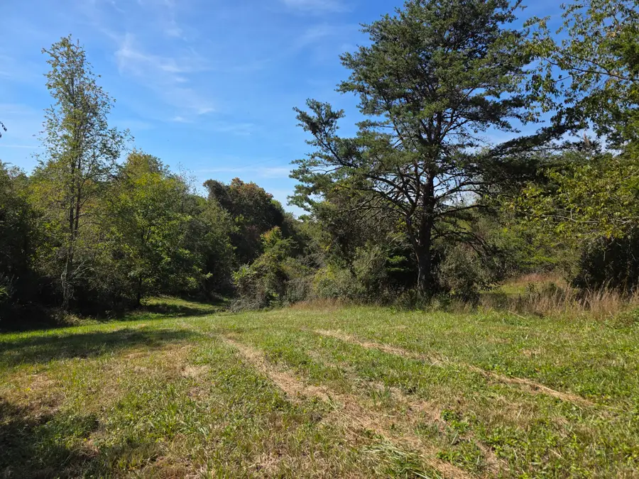 TBD Ridge, Check, VA 24072 - #3