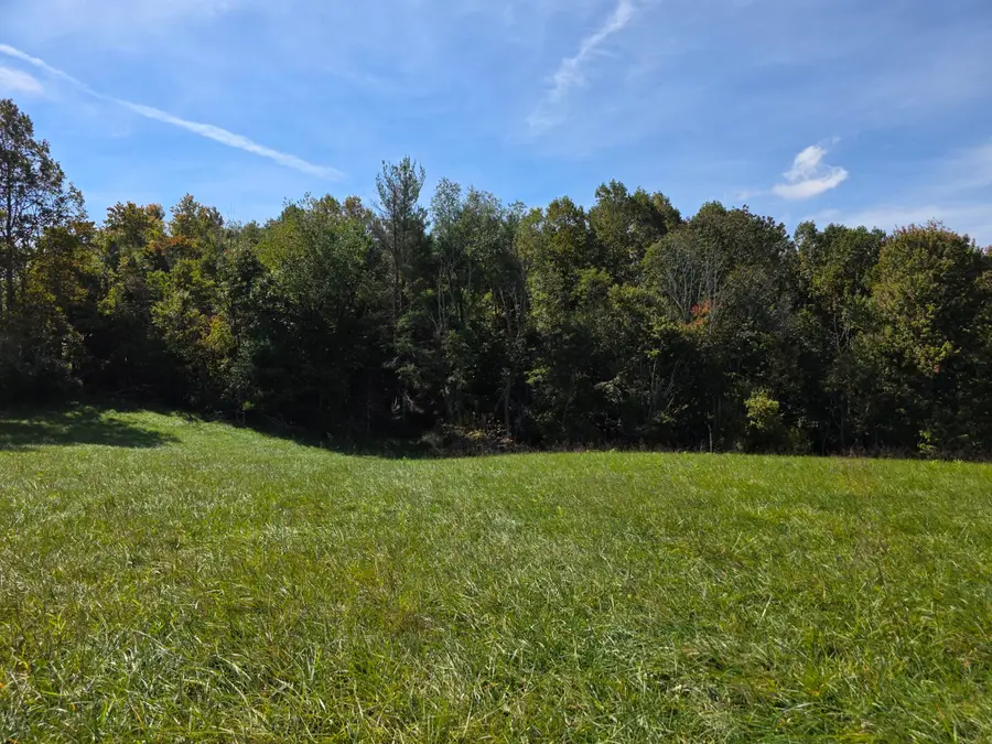 218 Ridge, Check, VA 24072 - #3