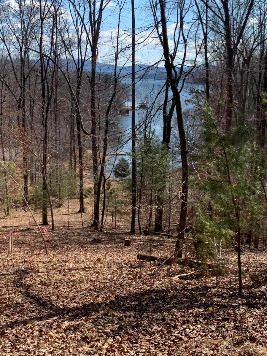 Lots 7B,7C Fox Chase, Wirtz, VA 24184 - #2